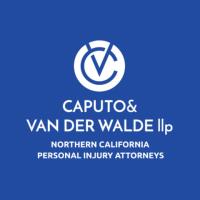 Caputo & Van Der Walde-Injury & Accident Attorneys image 1